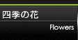 �l�G�̉�