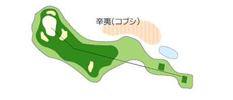 コース図