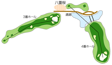 コース図