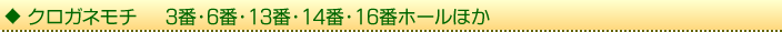 クロガネモチ　3番・6番・13番・14番・16番ホールほか