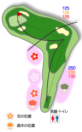 ホールコース図
