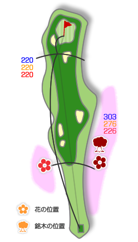 ホールコース図