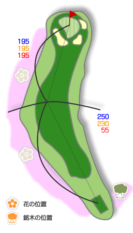 ホールコース図