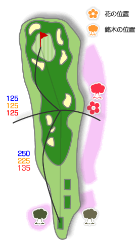 ホールコース図