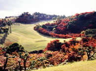 コース風景