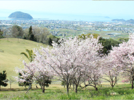 コース風景