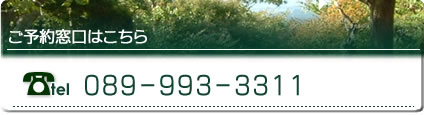 \񑋌͂@089-993-3311